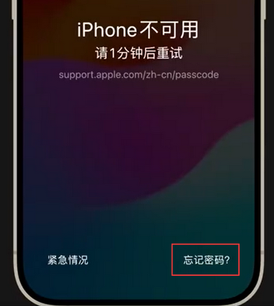 嘉鱼苹果手机密码维修分享iPhone忘记了刚设置的密码 