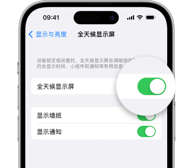 嘉鱼苹果15预约维修分享iPhone15如何设置全天候显示屏幕可见 