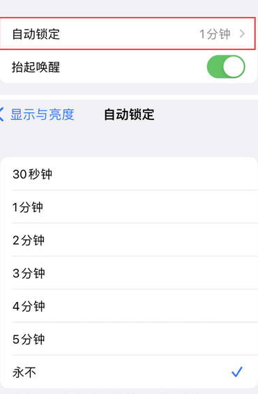 嘉鱼苹果换屏维修分享无法调整iPhone自动锁屏的时间怎么办