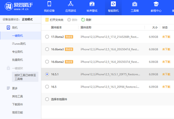 嘉鱼苹果售后维修分享iPhone提示无法检查更新怎么办