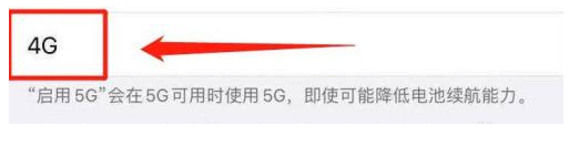 嘉鱼苹果13维修分享iPhone 13恒定4G设置方法 
