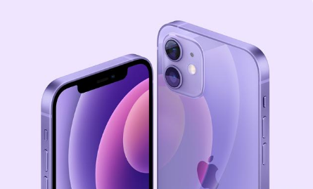 嘉鱼苹果手机维修分享紫色版iPhone 12有什么技术亮点 