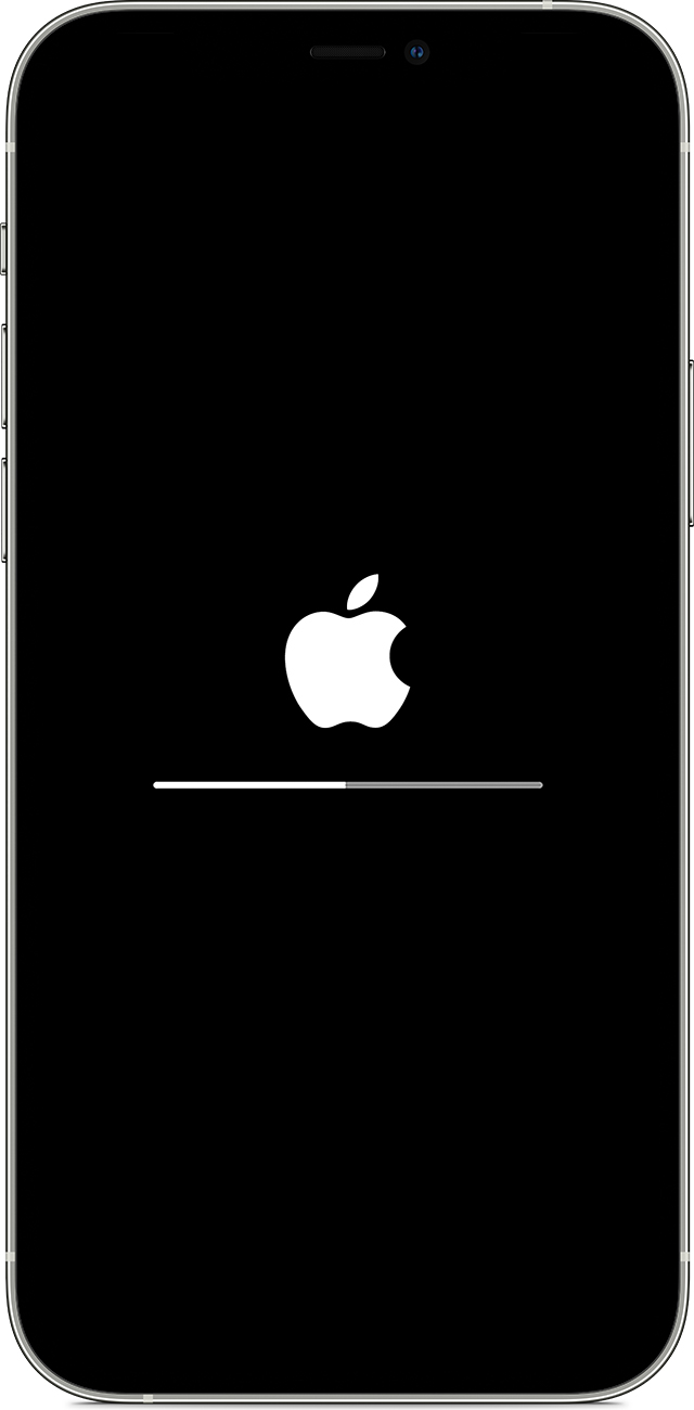 嘉鱼苹果手机维修分享iPhone 12 无法更新系统、出现报错的解决办法 