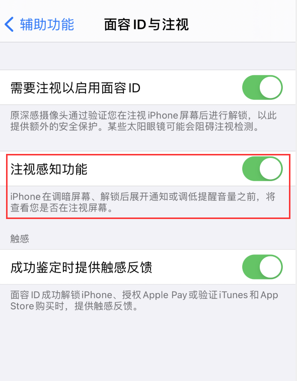 嘉鱼苹果手机维修分享iPhone 12 不会自动锁屏怎么办 