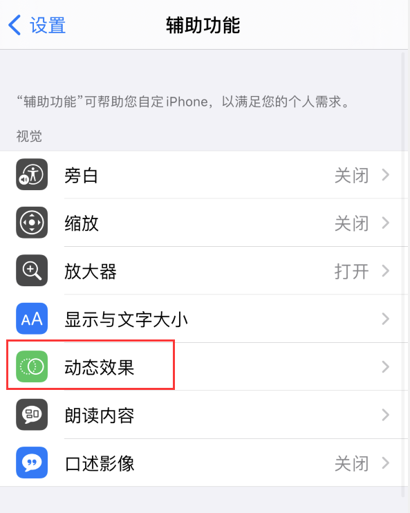 嘉鱼苹果手机维修分享iPhone 12 退出应用时没有动画显示，如何设置 